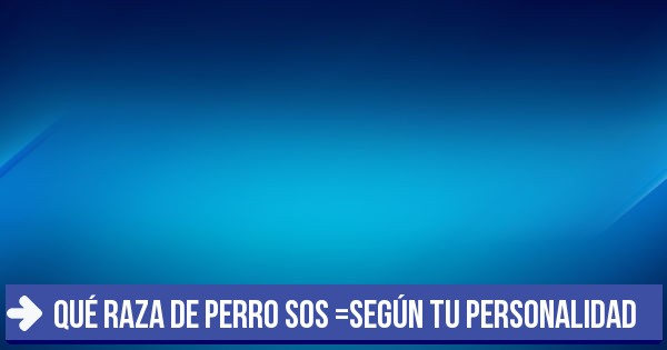 A Que Animal Me Parezco Segun Mi Personalidad
