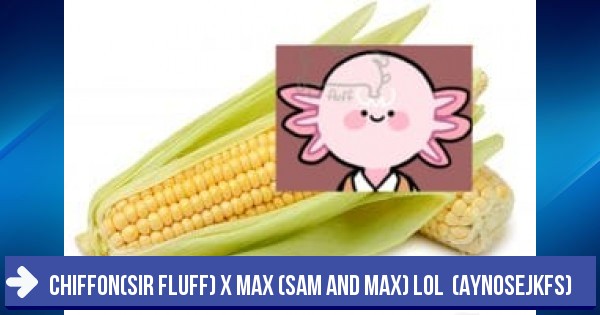 Test: Chiffon(sir fluff) x Max (Sam and Max) lol (aynoseJKFS)