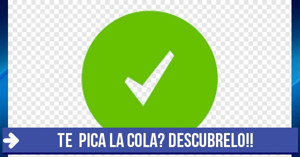 Test Te Pica La Cola Descubrelo 