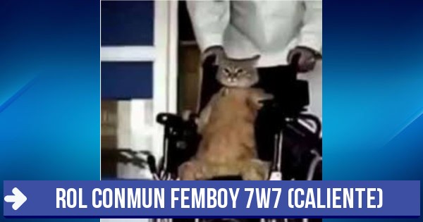 Test: Rol conmun femboy 7W7 (caliente)
