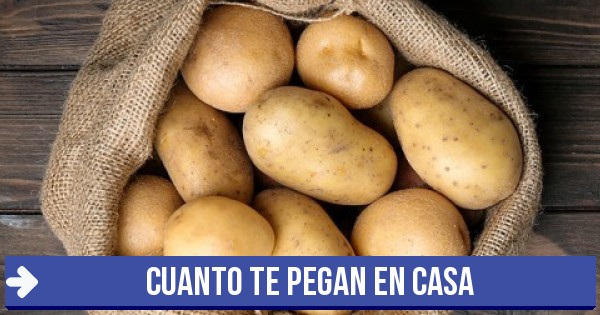 Te Pegan In English
