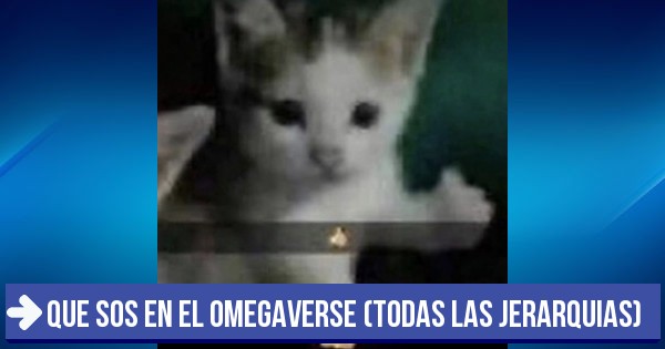 Enigma - que sos en el omegaverse (todas las jerarquias)