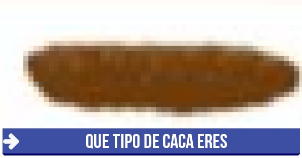 Morcilla negra - Que tipo de caca eres