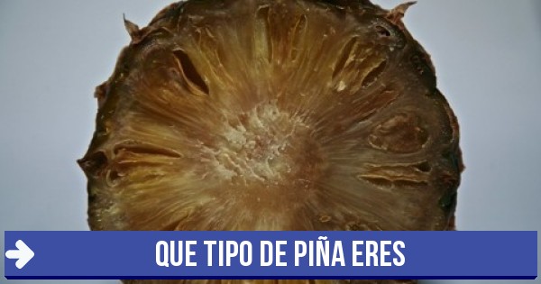 piña podrida - que tipo de piña eres