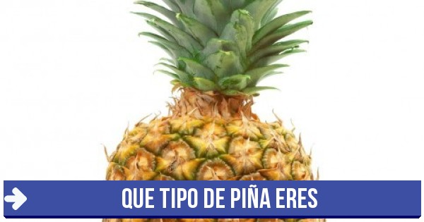 piña normal - que tipo de piña eres